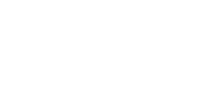 Palomino